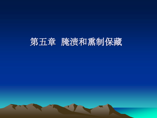 第五章食品腌渍发酵和烟熏处理