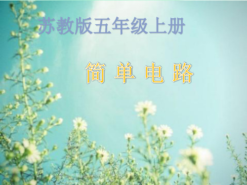 (苏教版)五年级科学上册课件  《简单电路》  课件