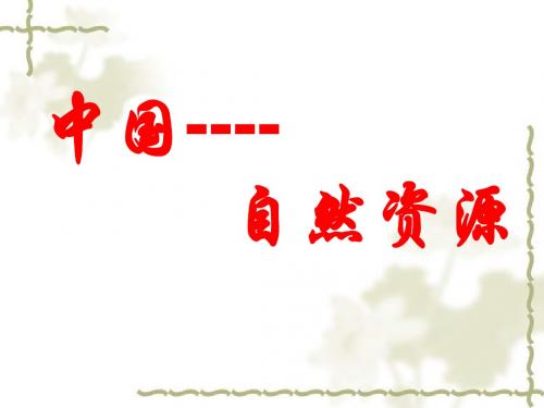中国的自然资源LL