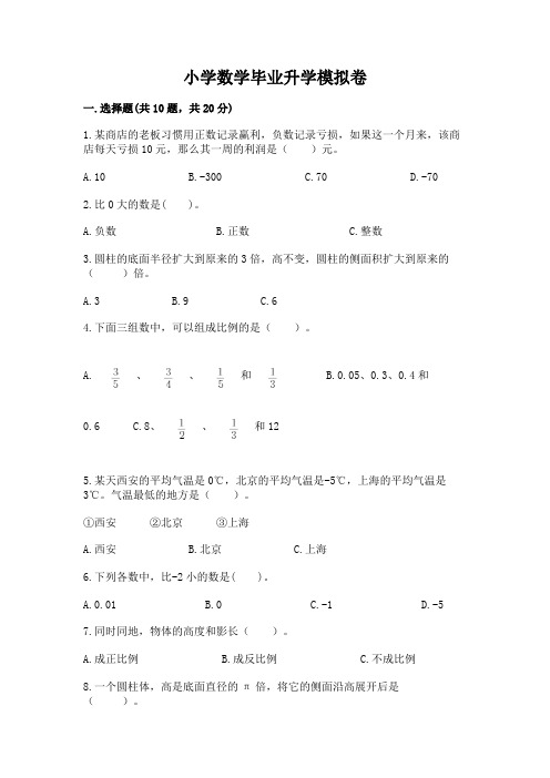 小学数学毕业升学模拟卷附参考答案【精练】