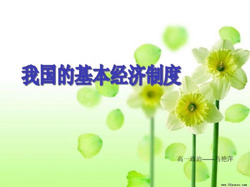 我国的基本经济制度
