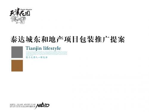 精品文案-天津泰达城东和地产项目包装推广提案-PPT课件