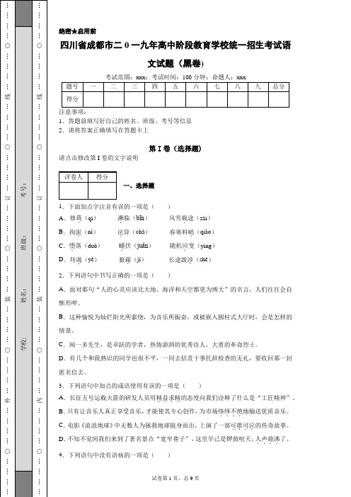 2019年四川省成都市高中阶段教育学校统一招生考试语文试题(黑卷)(附带各题超详细解析及作文范文)