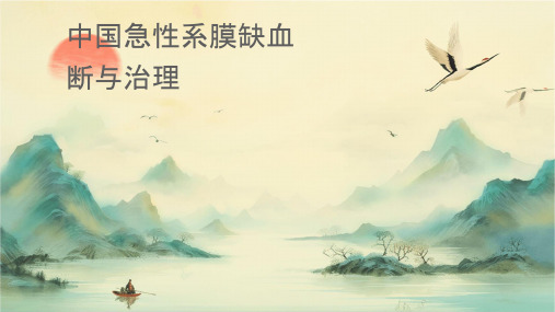 中国急性肠系膜缺血诊断与治疗专家共识护理课件
