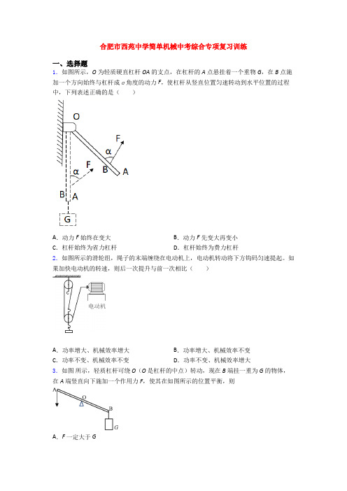 合肥市西苑中学简单机械中考综合专项复习训练