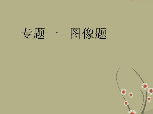 广东省佛山市中大附中三水实验中学2013届中考化学复习 专题1：图像题课件 新人教版