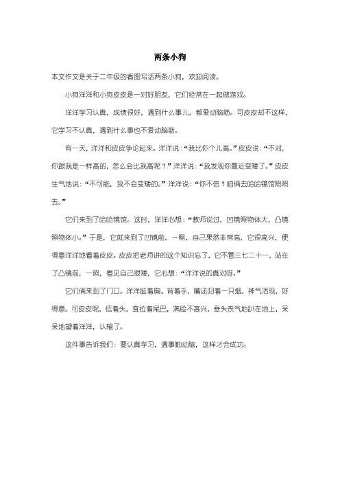 小学二年级看图写话：两条小狗