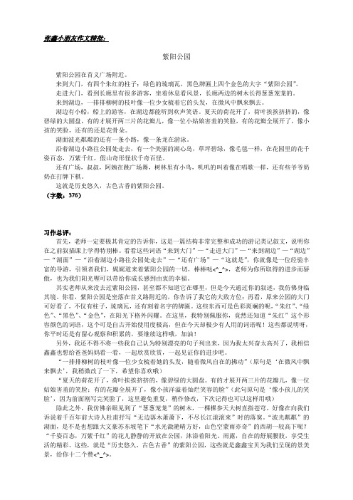 阳光喔作文课程标准服务能力资料35元李莎-张鑫 作文精批