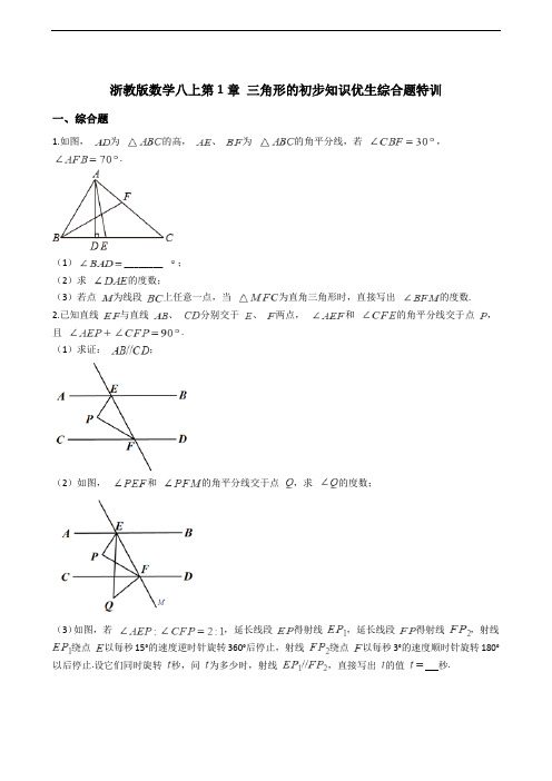 浙教版数学八上第1章 三角形的初步知识优生综合题特训
