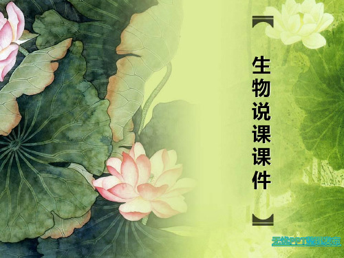 动物的运动说课精品PPT课件