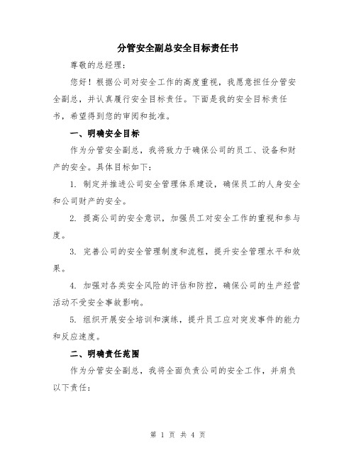 分管安全副总安全目标责任书