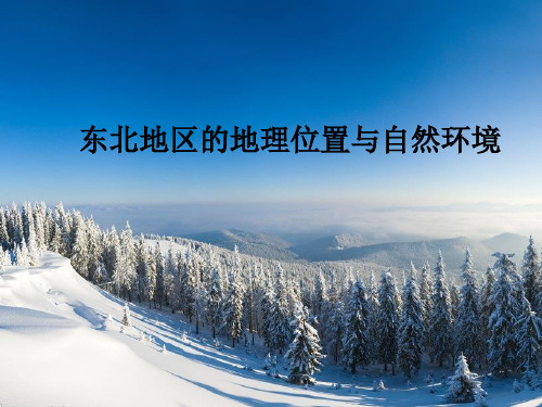 《第一节 东北地区的地理位置与自然环境》课件3