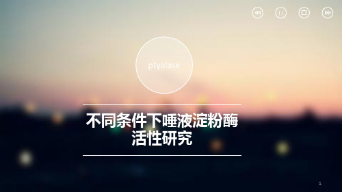 唾液淀粉酶PPT课件
