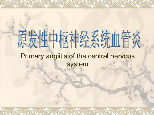 原发性中枢神经系统血管炎 ppt课件