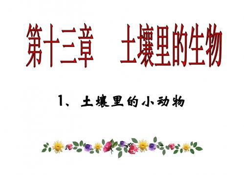 土壤里的小动物PPT优秀课件 苏科版