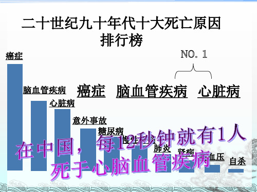 《关注心血管健康》PPT课件