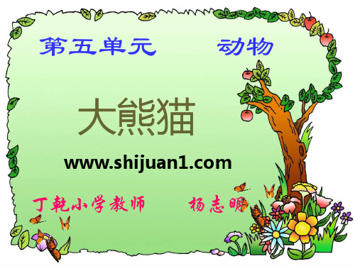 2021北师大版一年级语文教学课件-《大熊猫》
