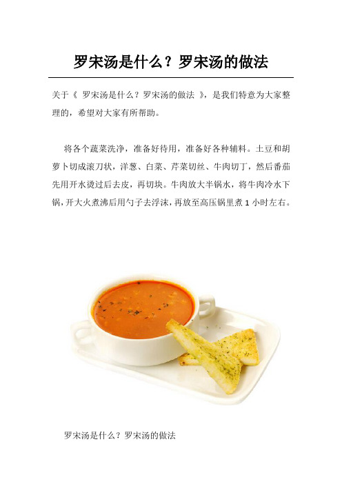 罗宋汤是什么？罗宋汤的做法_1
