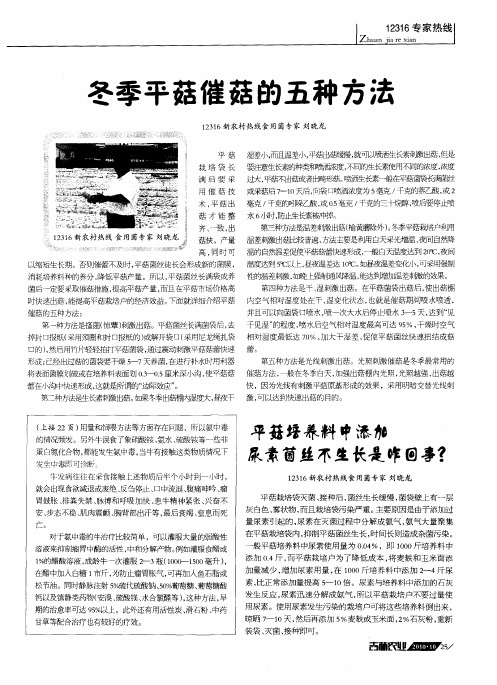 冬季平菇催菇的五种方法