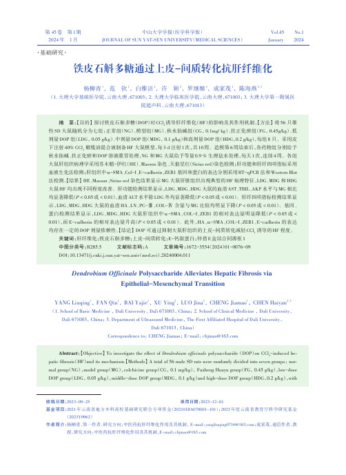 铁皮石斛多糖通过上皮-间质转化抗肝纤维化