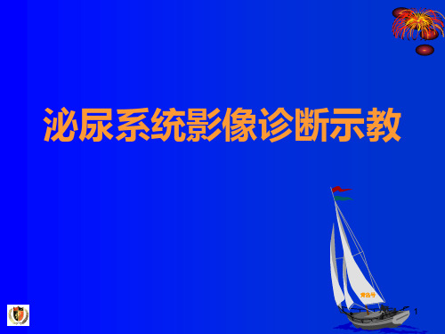 【影像诊断课件】腹部实质脏器影像诊断示教