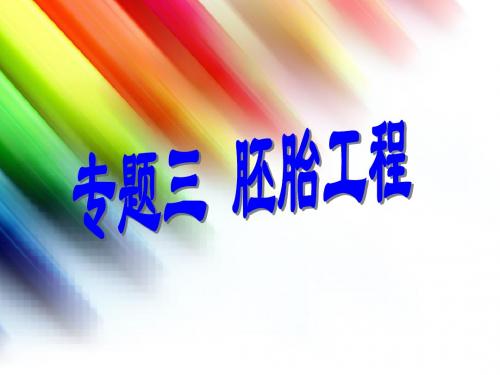 胚胎工程1