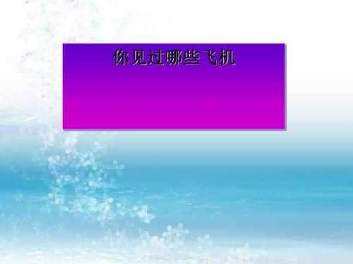 《你见过哪些飞机》PPT课件3