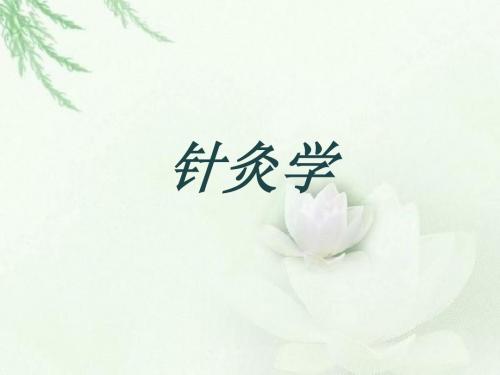 任脉