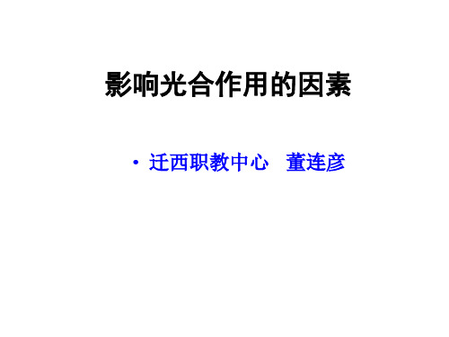 影响 光合作用的因素