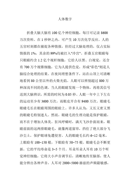 人体数字
