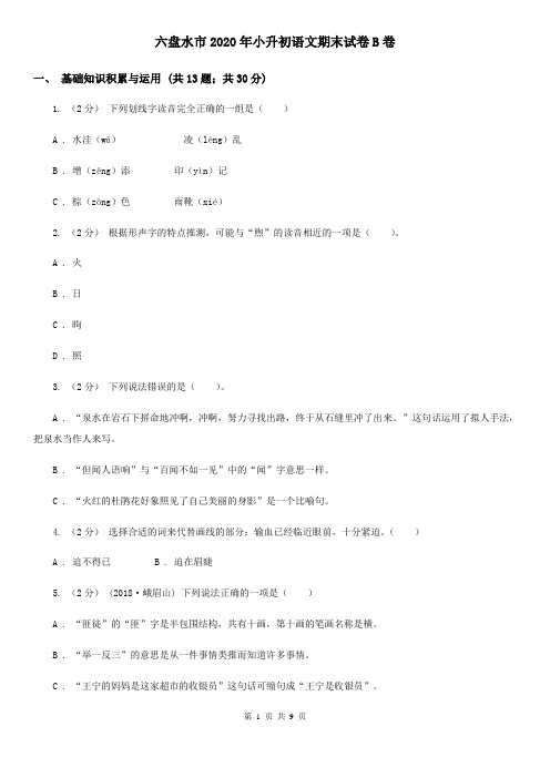 六盘水市2020年小升初语文期末试卷B卷