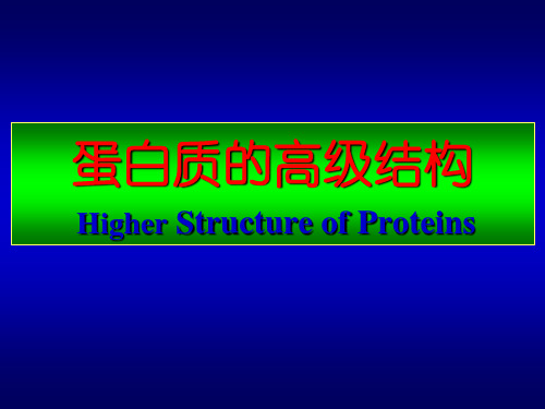 5-蛋白质化学3-二级结构