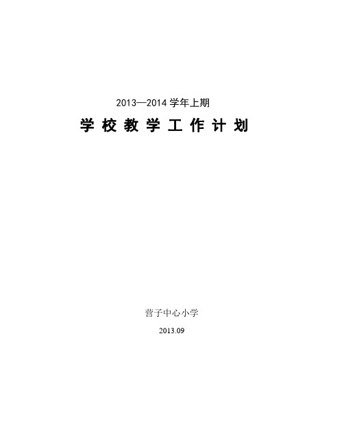 2013-2014学年上期教学工作计划