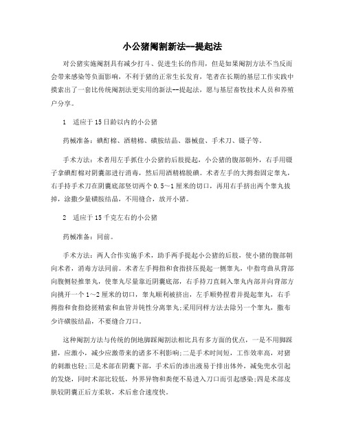 最新小公猪阉割新法--提起法【动植物养殖】