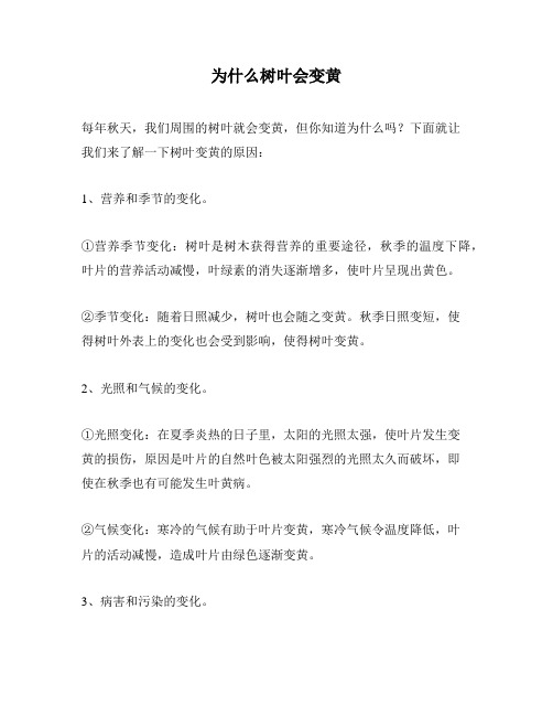 为什么树叶会变黄