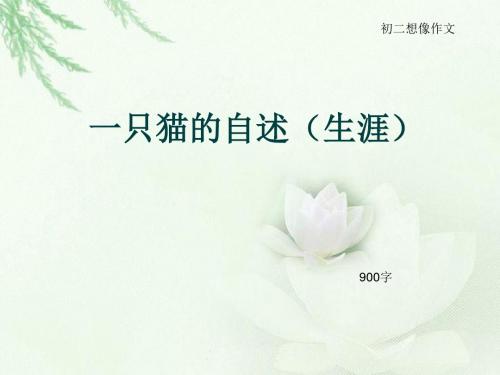 初二想像作文《一只猫的自述(生涯)》900字(总11页PPT)