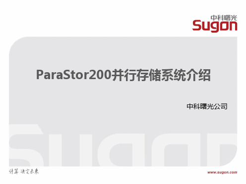 923820-服务器-ParaStor200介绍