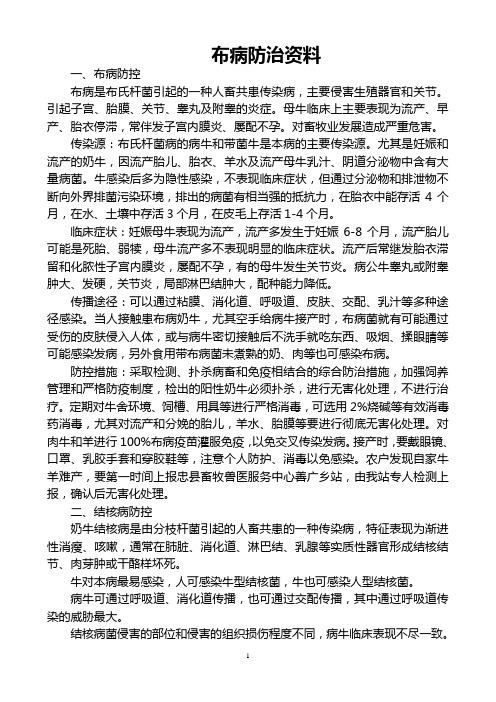 布病结核病宣传单