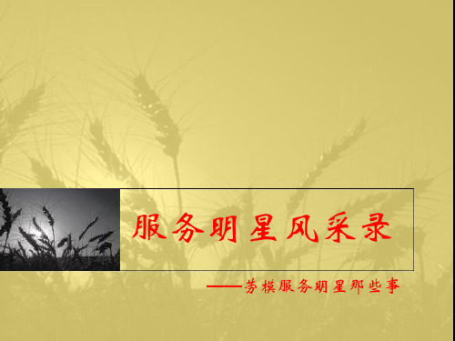 服务明星事迹介绍