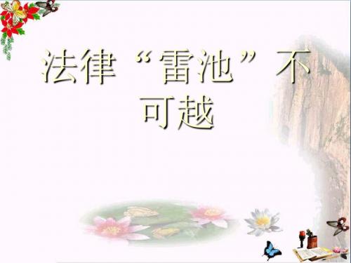 法律雷池不可越ppt优秀课件1