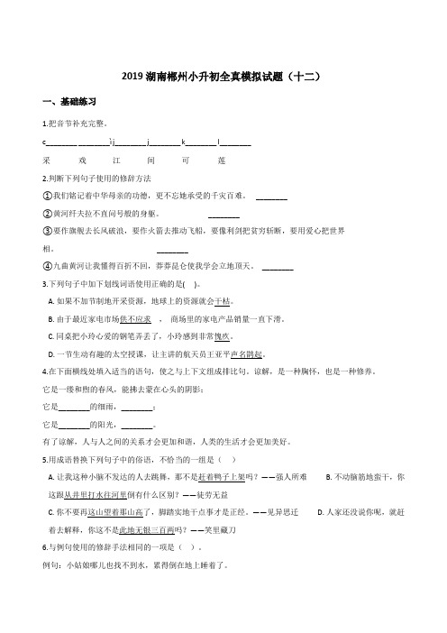 六年级下册语文试题--2019湖南郴州小升初全真模拟试题(十二) 湘教版 (含答案)