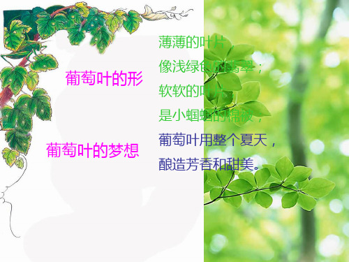 三年级语文上册《葡萄叶的梦》课件3 语文a语文a件