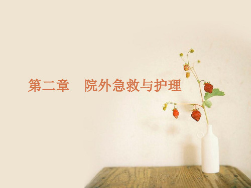 第二章院外急救与护理