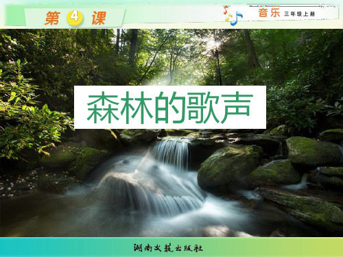 森林的歌声 音乐课件