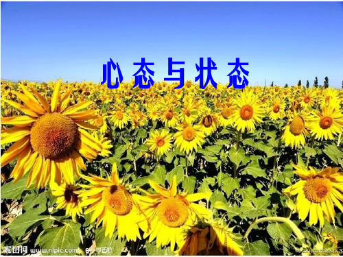 心态与状态培训课件