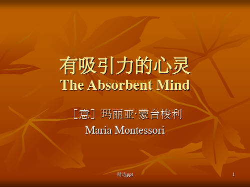 有吸引力的心灵ppt课件