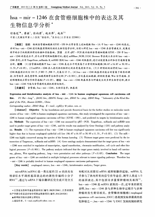 hsa-mir-1246在食管癌细胞株中的表达及其生物信息学分析