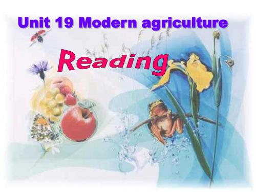 高一英语课件：下学期19reading