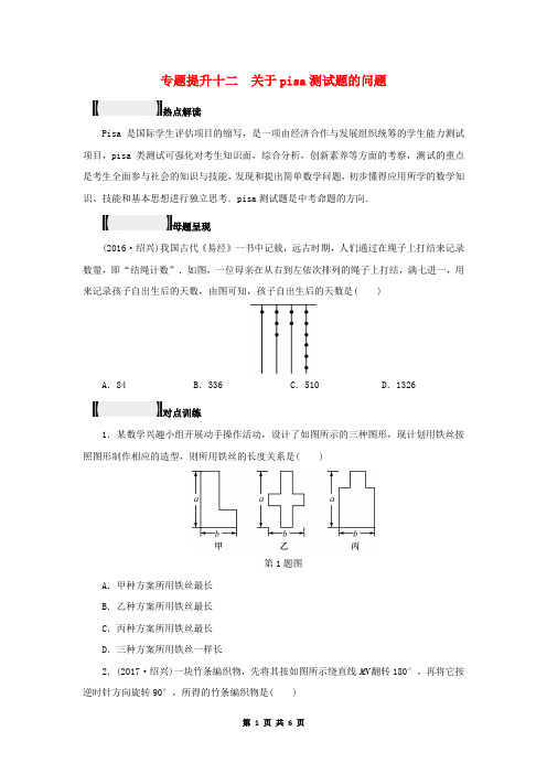 中考数学总复习专题提升十二关于pisa测试题的问题试题