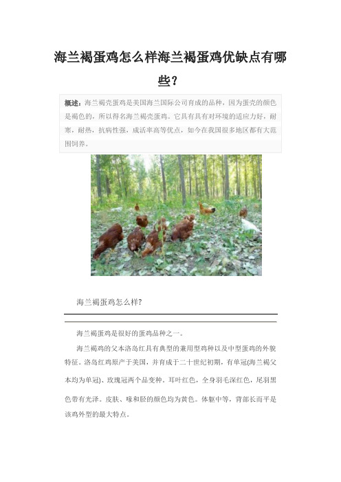 海兰褐蛋鸡怎么样海兰褐蛋鸡优缺点有哪些